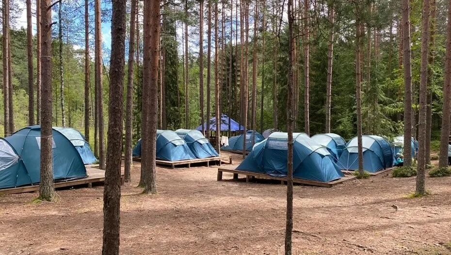 Палаточный лагерь нижегородская область мулино фото Правительство включило палаточные лагеря в программу детского кешбэка Объясняе