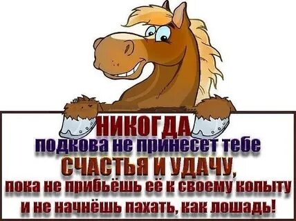Пашу как лошадь