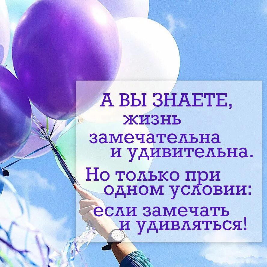 Читать блогера эх жизнь прекрасна и удивительна. Жизнь замечательна и удивительна если замечать и удивляться. жизнь прекрасна и удивительна. жизнь прекрасна и удивительна цитаты. жизнь прекрасна удивительн.