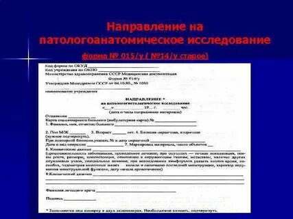 Оформление протокола вскрытия