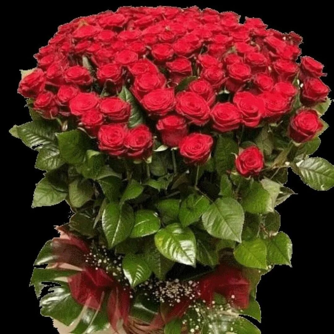 С днем рождения огромные розы. Красивые большие букеты. Букет шикарный. Большой красивый букет цветов. Шикарный букет роз.
