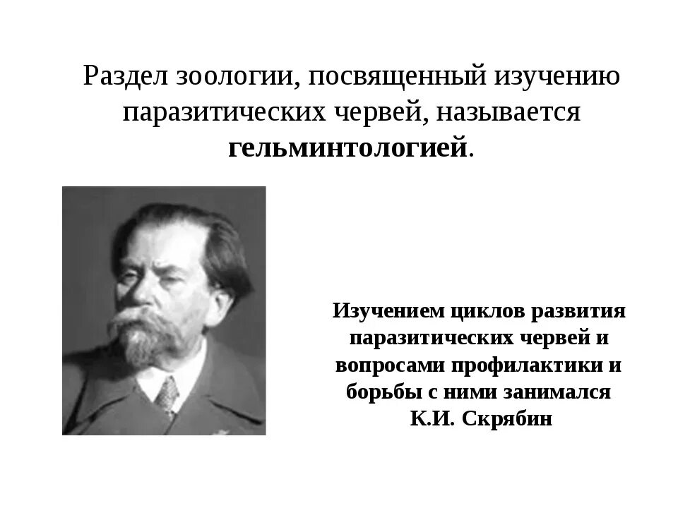 Зоология занимается изучением. Раздел зоологии изучающий паразитических червей. кто изучает паразитических червей. наука изучающая червей паразитов. раздел зоологии, занимающийся изучением паразитических червей..