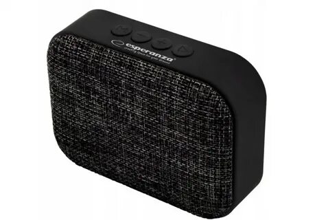 Radio speaker