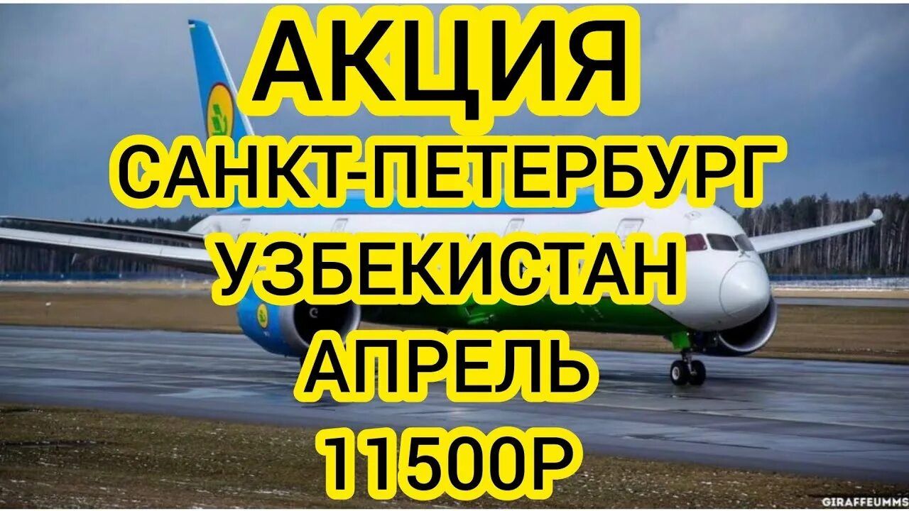 Билеты на самолет. Айвабелит узбекистон нархлари. Авиабилеты москва самарканд. Санкт-петербург самарканд авиабилеты. Uzbekistan airways москва ташкент.