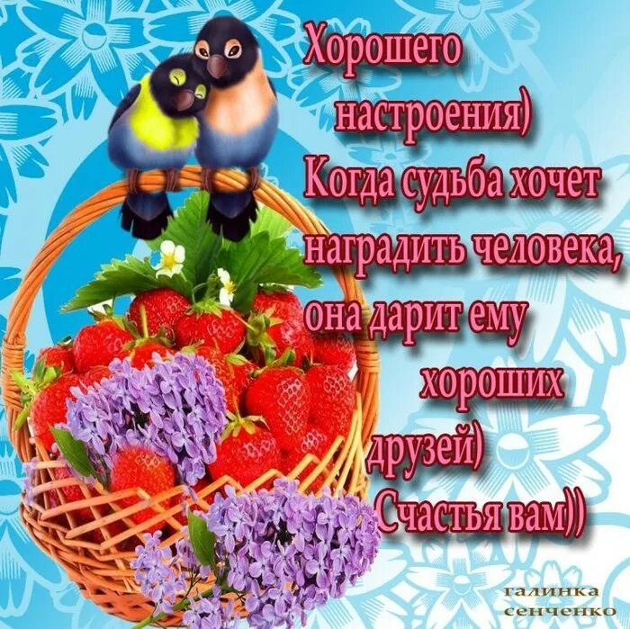 Здоровья и сил в новом дне