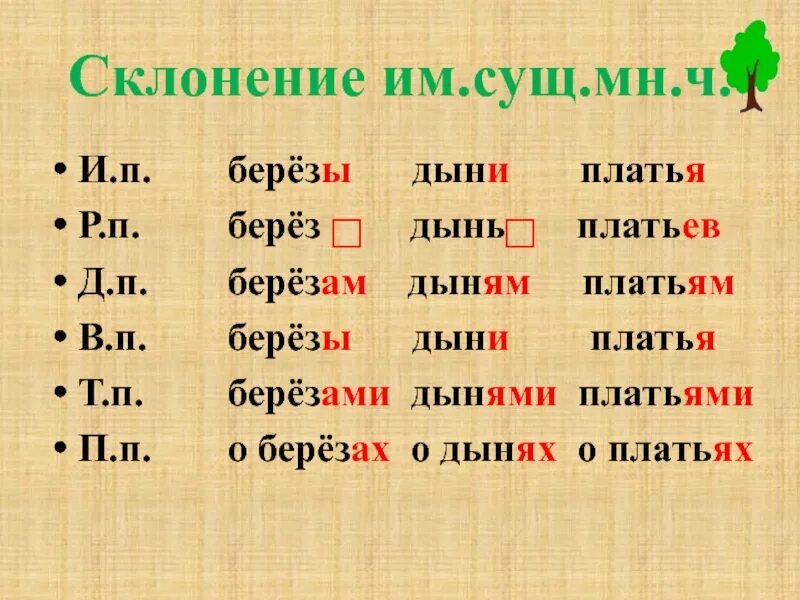 Березками окончание какое. Склонение множественного числа. Склонение существительных во множественном числе. Просклонять береза. Береза просклонять по падежам.