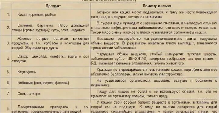 Можно ли кормить котят кашей
