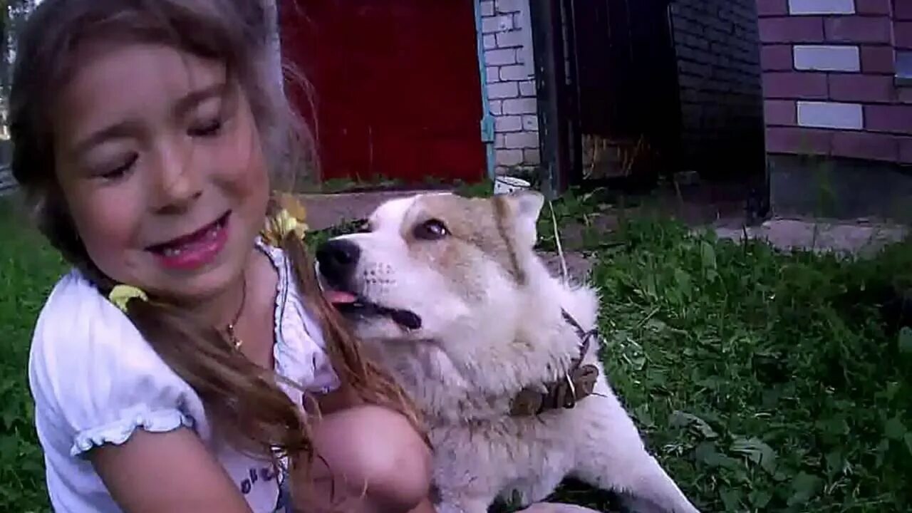 Девушка подросток с собакой. Девушка в красном платье с собакой. Немецкая овчарка девочка. Овчарка девочка. Моменты с собаками.