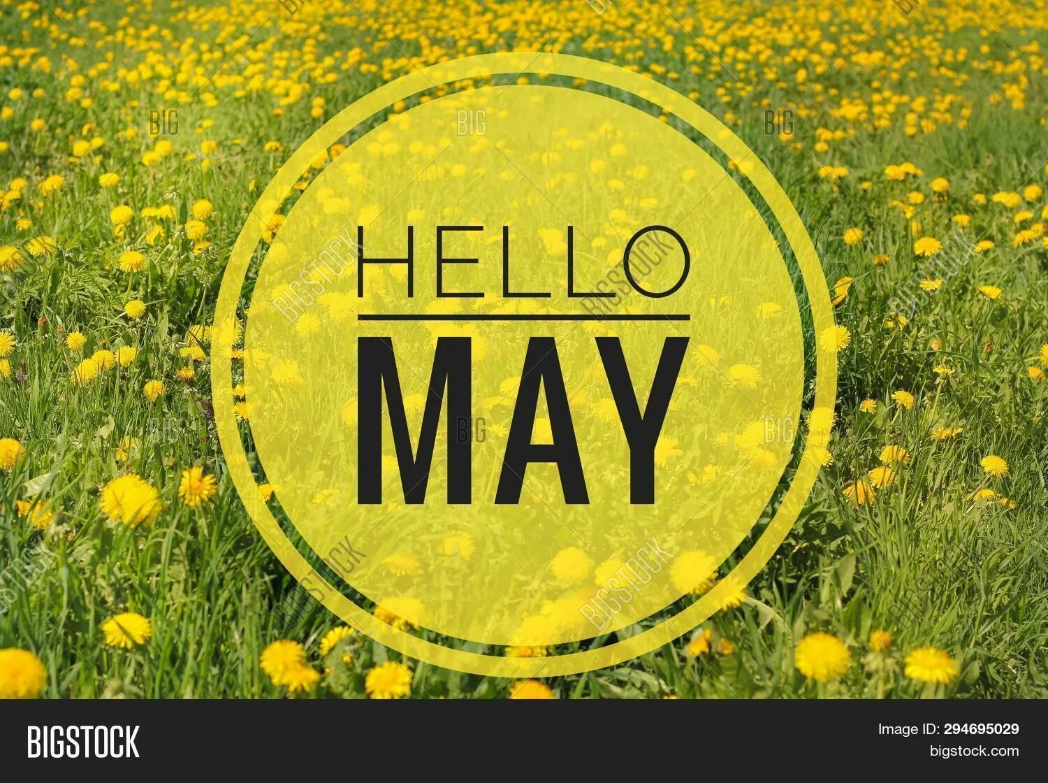 May is spring month. Hello may. баннер hello. hello may фото. hello welcome picture.