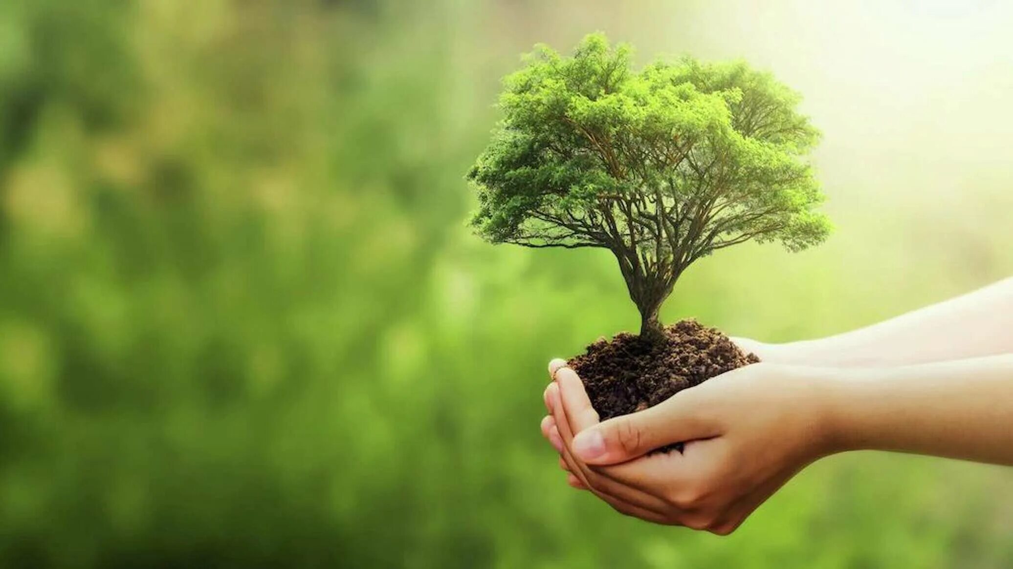 L environment. L environment