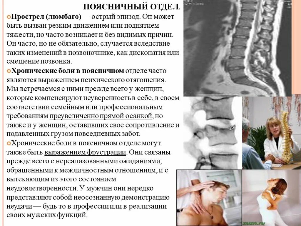 Проблемы поясничного отдела. Психосоматика поясничный отдел. Психосоматика позвоночник поясничный. Психосоматика болезней позвоночника. Боль в спине психосоматика.