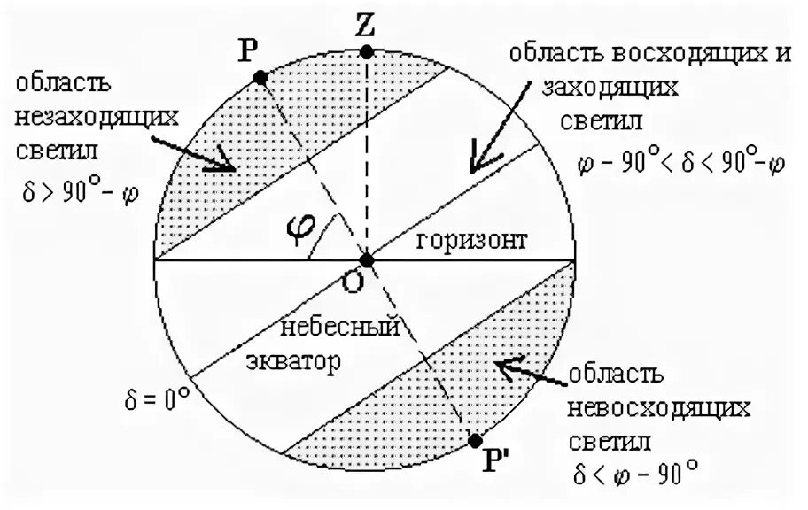 Какие звезды восходящие. Изменение координат светил с течением времени. Высота светила на небесной сфере. Незаходящие и невосходящие светила. Условия видимости звезд.