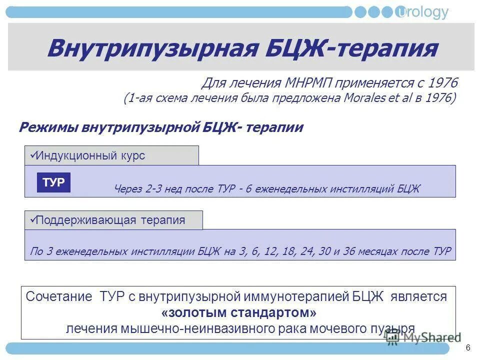 Внутрипузырная иммунотерапия БЦЖ. Противопоказания к БЦЖ терапии. БЦЖ терапия мочевого пузыря. Бцж терапия при раке мочевого