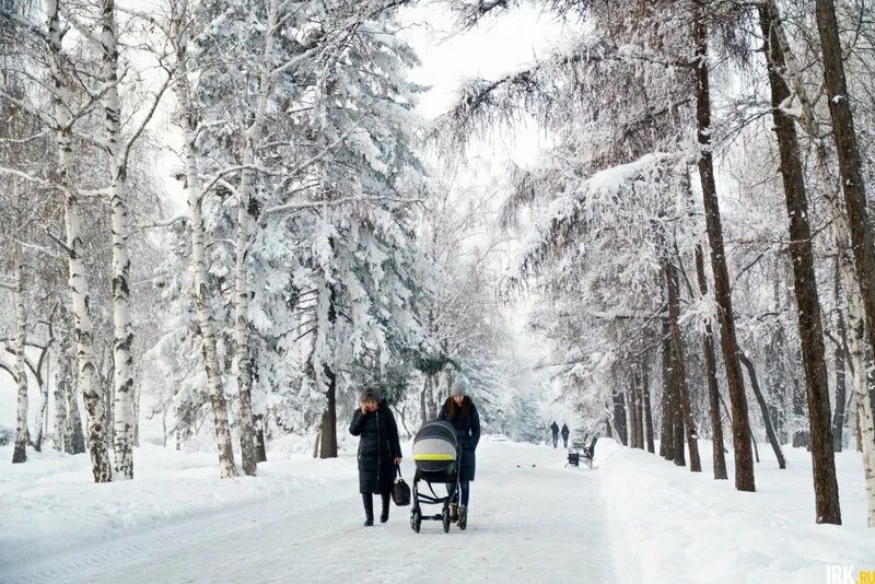 Градусов 15 января. Морозы в москве. Градусов 15 января. Потепление в москве зима. Градусов 15 января.
