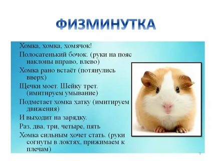 Как правильно пишется хомячок