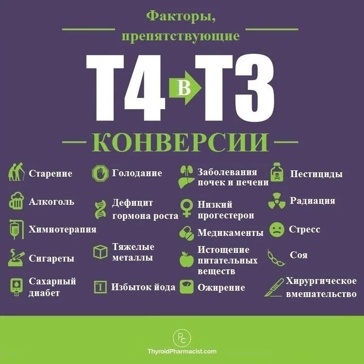 Конверсия т4 в т3. Комбинированные препараты т3 и т4. Препараты с т3 гормоном. Препараты трийодтиронина т3.