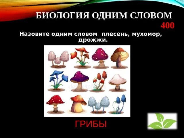 06.03 01 биология. Биология одним словом. Биология 1 словом. Занимательное по биологии. Биология интересные задания.