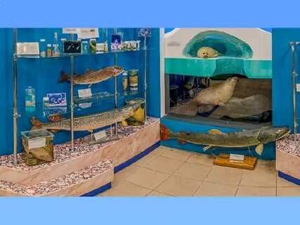 Какую экспозицию можно посетить в байкальском
