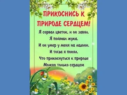 Прикоснись к чистому