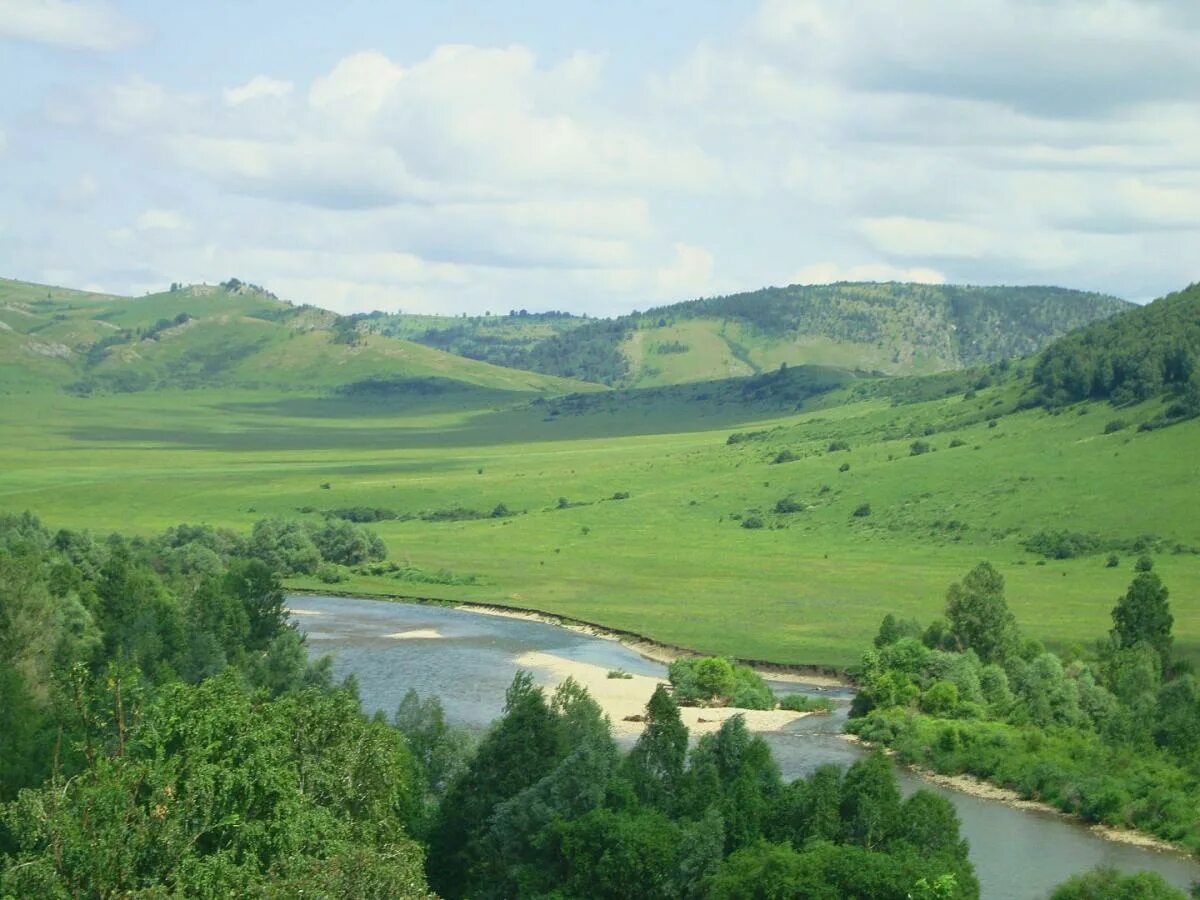 Река Иня Алтайский край Краснощековский район. Краснощеково Алтайский Чарыш. Природа Краснощековского района Алтайского края. Маралиха Чарышский район Алтайский.