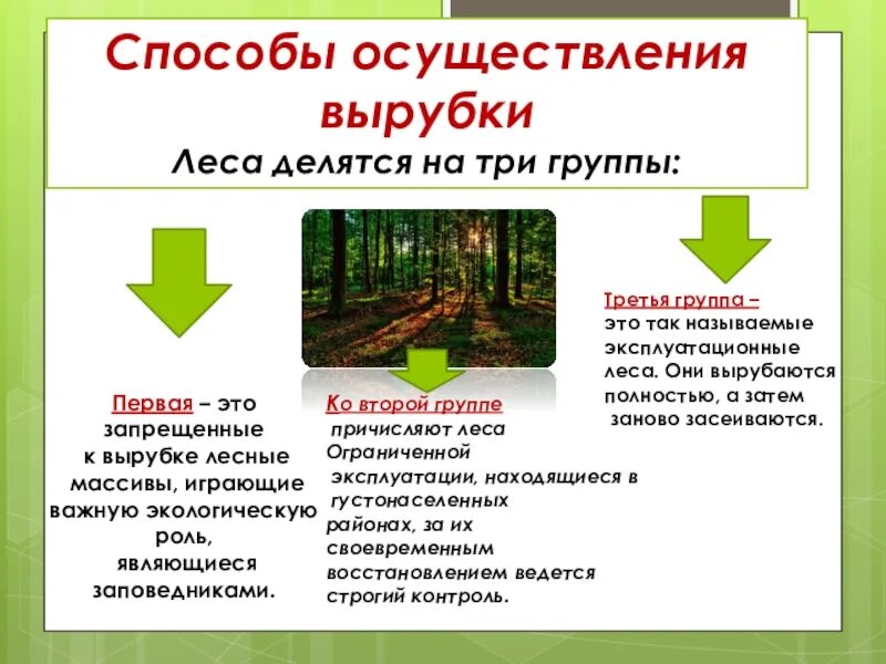Элементы леса перечислить. Способы осуществления вырубки леса. Вырубка лесов презентация. К чему приводит вырубка лесов. Последствия вырубки лесов схема.