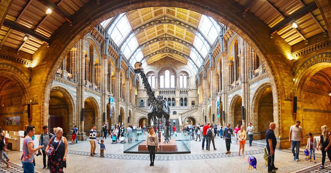 Tate modern museum is a converted old. Do you often visit museums. Do you often visit museums. Do you often visit museums. We usually visit museums in moscow.