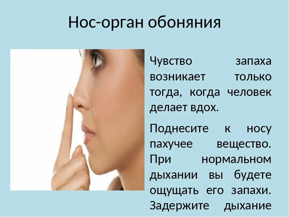 Почему человек ощущает неприятный запах. Обоняние. Пропало обоняние и вкус. Обоняние запахи. Нос чувствует запахи.