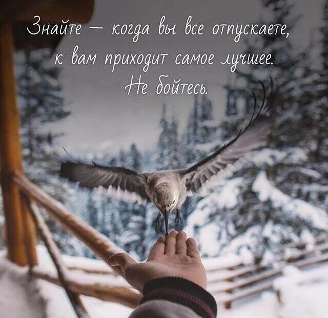 Как люблю я школу мама утром шумною. Как правильно писать придти или прийти. Прекрасные моменты цитаты. Выбирать себя цитаты. Прийти наиболее.