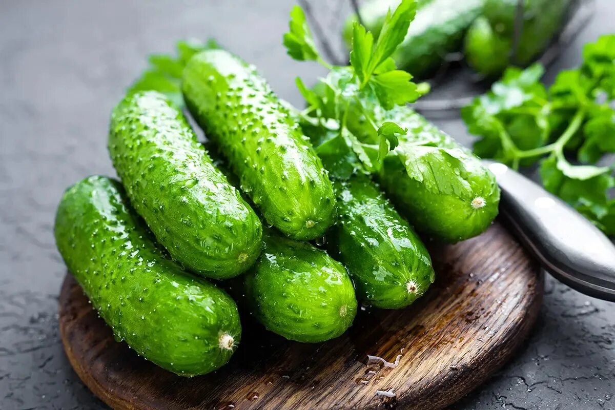 Огурец. Огурцы свежие. Огурец на столе. Fresh cucumber. Можно свежий огурец кормящей маме