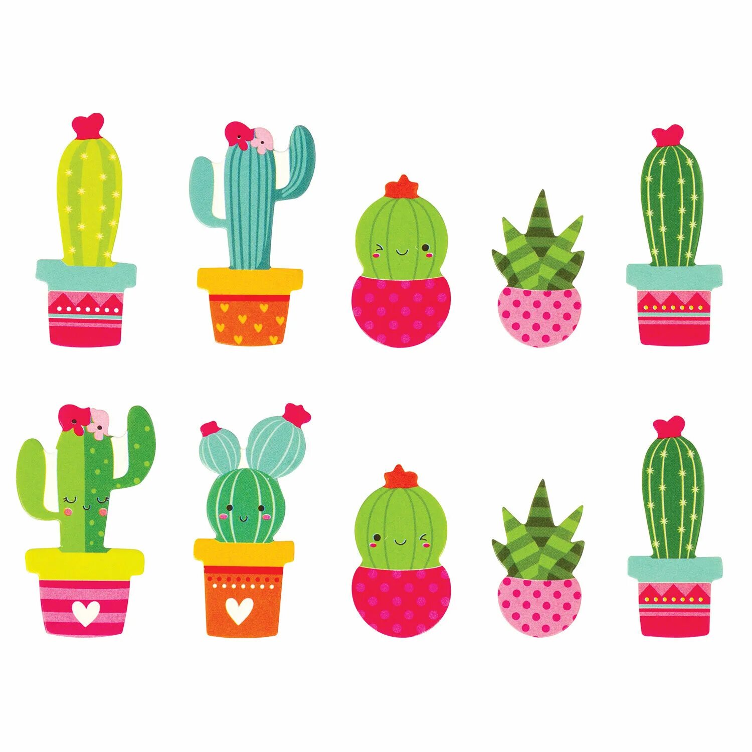 Кактус 24. Кактус опунция суккулент. Ярмарка кактусов в москве. Кактус 24. Ферокактус пилозус.