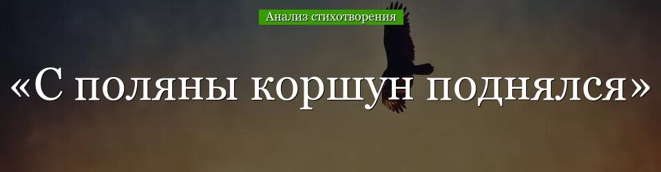 Ф и тютчев с поляну коршун. С Поляны Коршун поднялся Тютчев. Стих Тютчева с Поляны Коршун поднялся. Стихотворение с Поляны Коршун. Коршун стихотворение Тютчева.