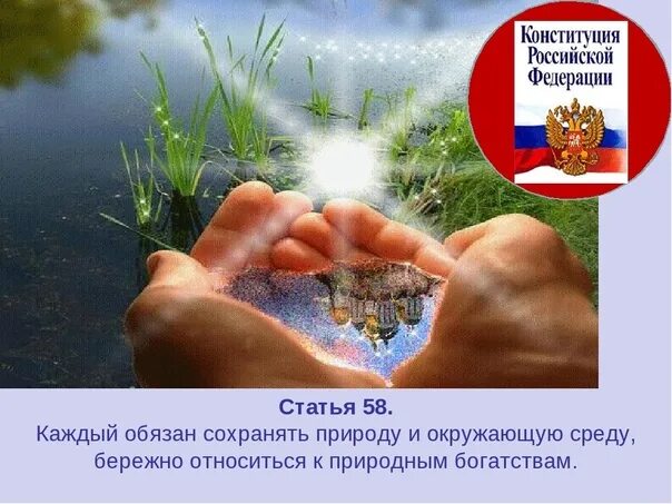 Граждане обязаны сохранять природу и окружающую среду. Охрана природы. Законы о защите природы. Обязанность сохранять природу. Защита природы в России.