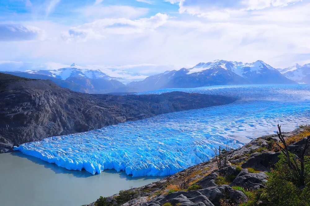 Grey glacier