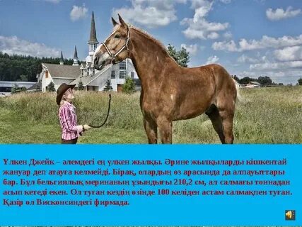 Жүкті әйелмен бір уақытта екі тесікте жыныстық қатынас (видео)