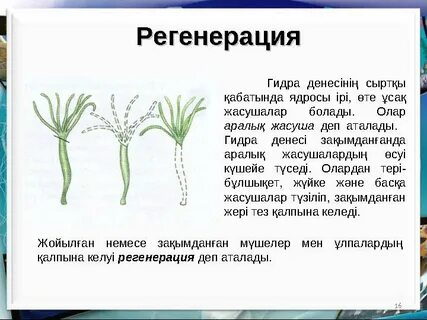 Фэнтези секс анимациясының сызбалары