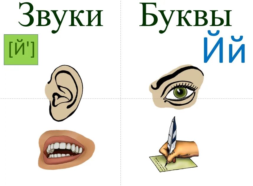 Буквы мы пишем слышим называем произносим видим. Звуки мы буквы мы. Звуки мы слышим и произносим а буквы. Буквы слышим и произносим буквы видим и пишем. Звуки мы произносим и слышим а буквы пишем и видим.