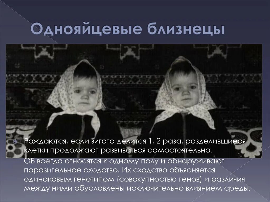 Появление близнецов. Двуяцовые зиготные блезницы. Схема близнецового метода. Близнецовый метод генетики схема. Интересные факты о близнецах.