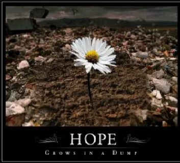 Hope grows
