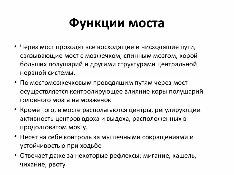 Какую функцию выполняет мост мозга