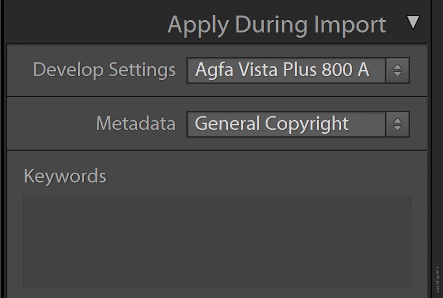 Development setting. Development setting