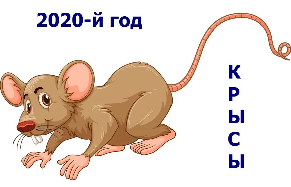 Какой год 2020 россия