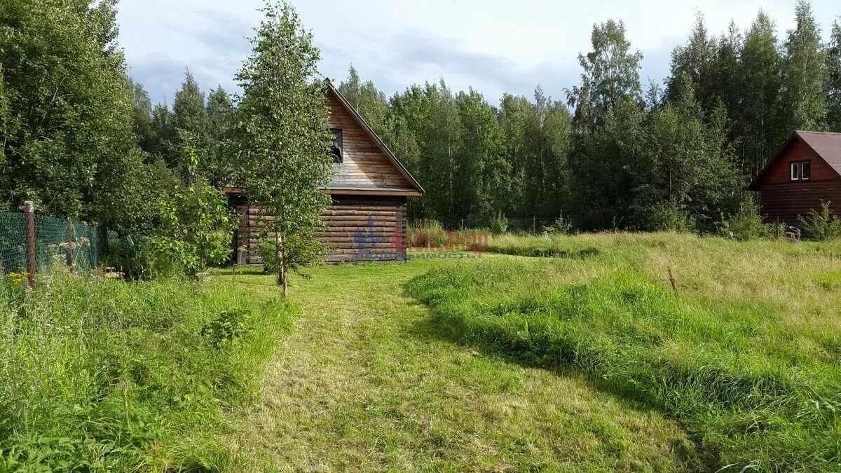 Лопухинка ломоносовский район. Никольское лесной район тверская область. Лопухинка ленинградская область в/ч хвойное. Лопухинка ленинградская область в/ч хвойное. Земля в никольском.