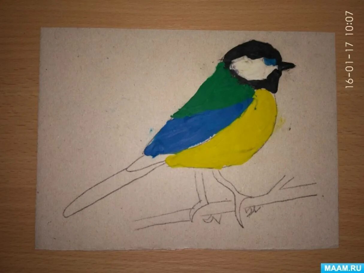 Рисование птички в старшей группе. Рисование птичка старшая группа. Рисование птички в старшей группе. Рисование синичка старшая группа. Рисование птичка старшая группа.