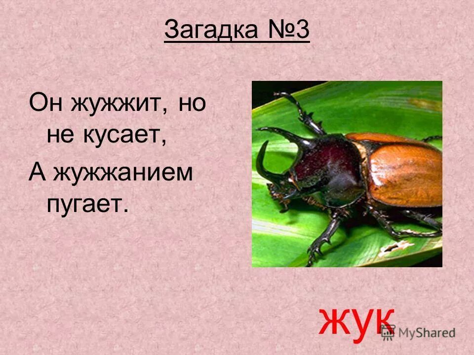 Сильное жужжание