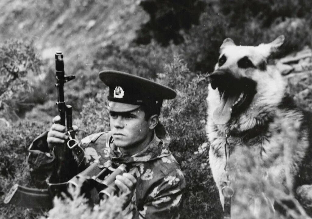 Пограничный пес алый. Пограничная служба КГБ СССР. Пограничники на заставе СССР. Пограничник пробуждение