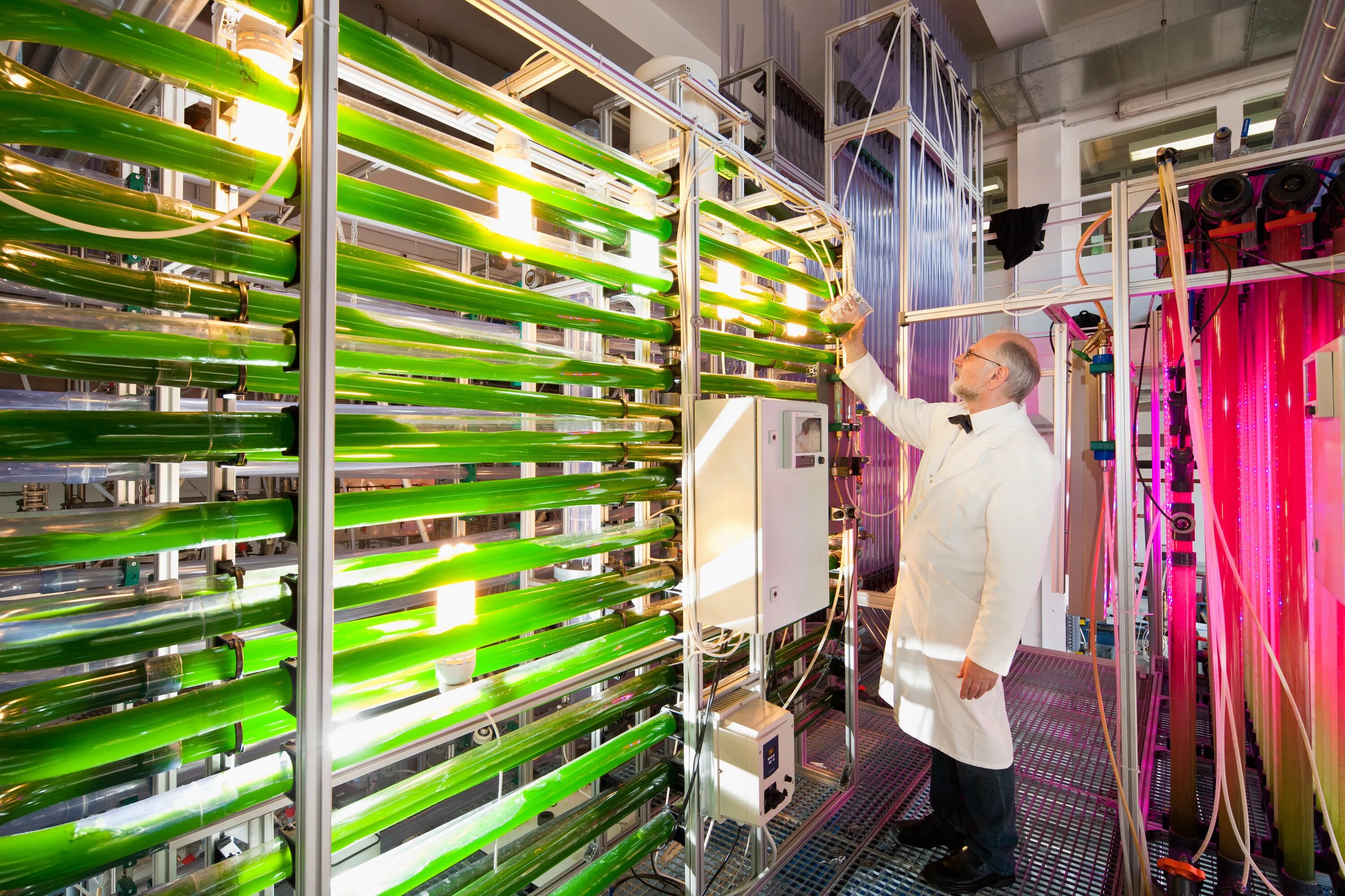 Open scale