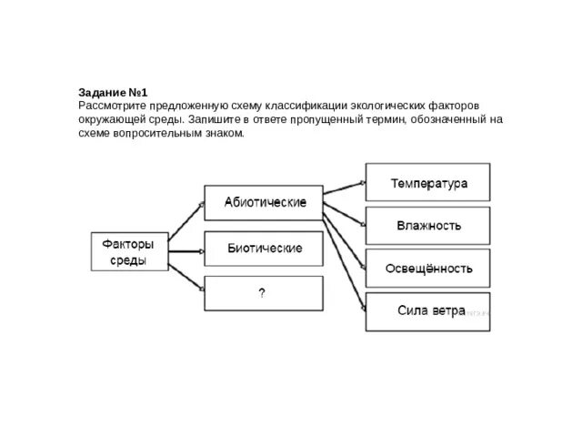 Схема классификации экологических факторов. Классификация факторов среды схема. Схема экологические факторы. Рассмотрите схему запишите в ответе пропущенный.