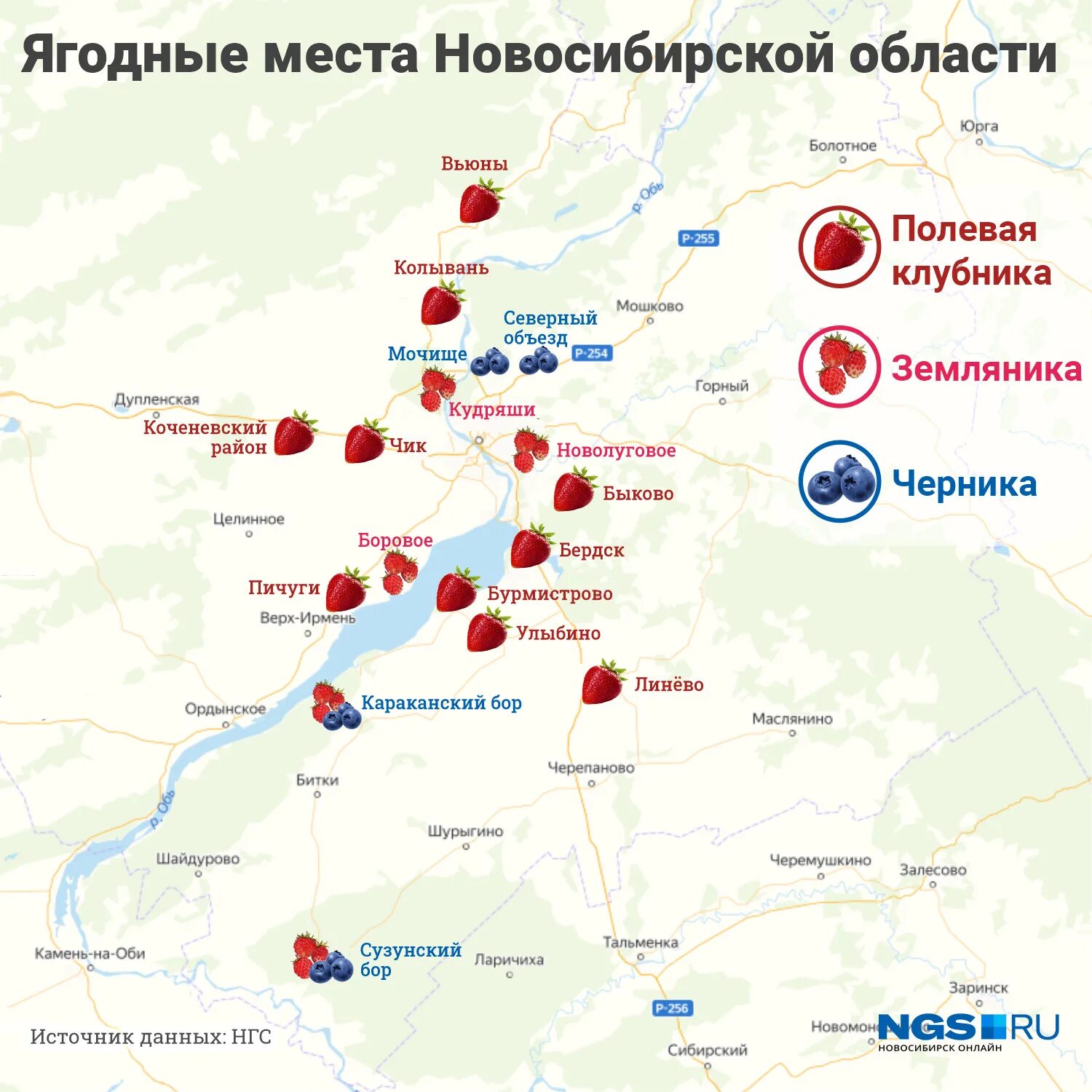 Где в подмосковье собирают. Ягодные места в Новосибирске. Карта ягодных мест Новосибирской области. Ягодные места в Новосибирске на карте. Карта черничных мест.