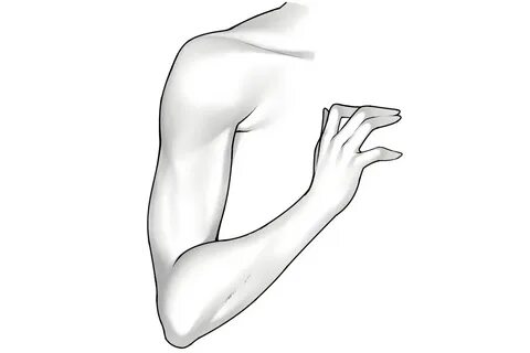 腕 を 伸 ば す イ ラ ス ト 