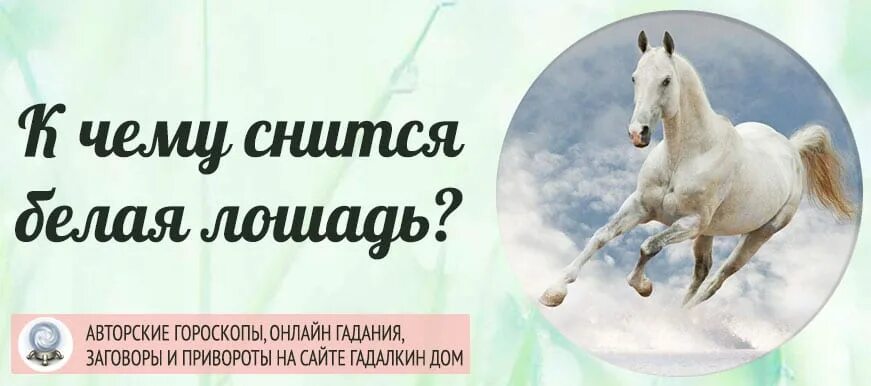 К чему снится лошадь. К чему снится конь во сне. Лошадь во сне к чему снится женщине. К чему снится белая лошадь. К чему снится видеть лошадь